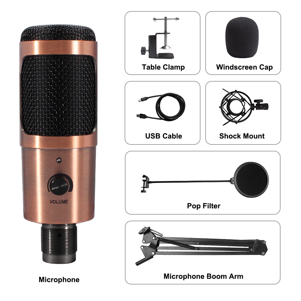 Microphone d'enregistrement à condensateur USB D80, avec support et anneau lumineux, pour PC, karaoké, Podcasting, Youtube